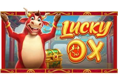 dk666